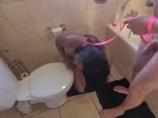 Humain toilettes indien slattern obtenir pissed sur et obtenir son tête flushed followed par suçage bite