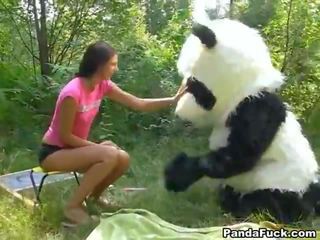 Ххх в в woods майже a величезний іграшка panda